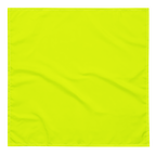 Bandana | Neon Lime