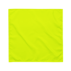 Bandana | Neon Lime