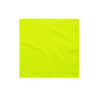 Bandana | Neon Lime