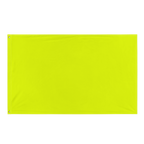 Flag | Neon Lime